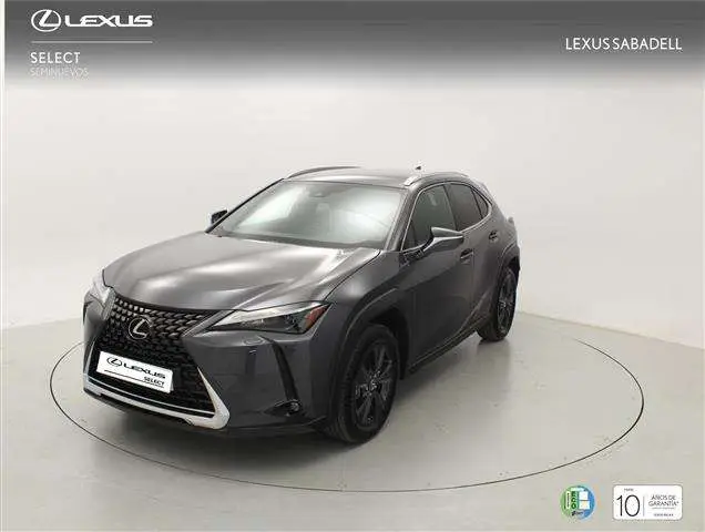 Photo 1 : Lexus Ux 2023 Autres