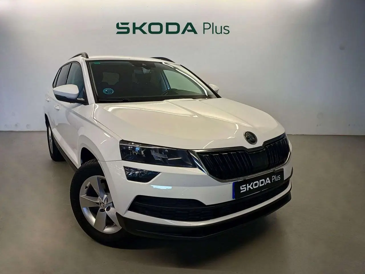 Photo 1 : Skoda Karoq 2019 Diesel