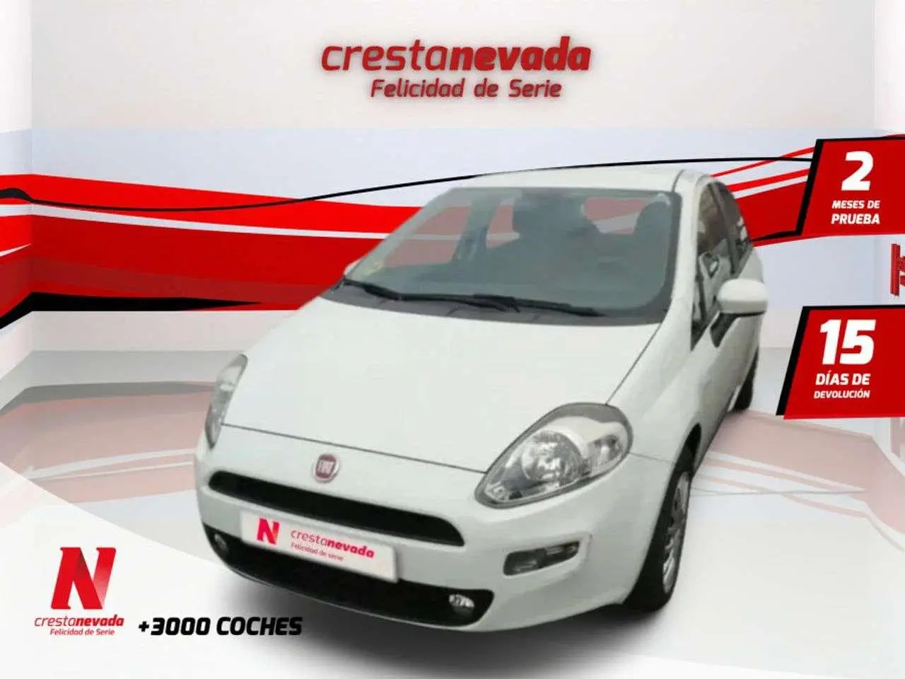 Photo 1 : Fiat Punto 2015 Diesel