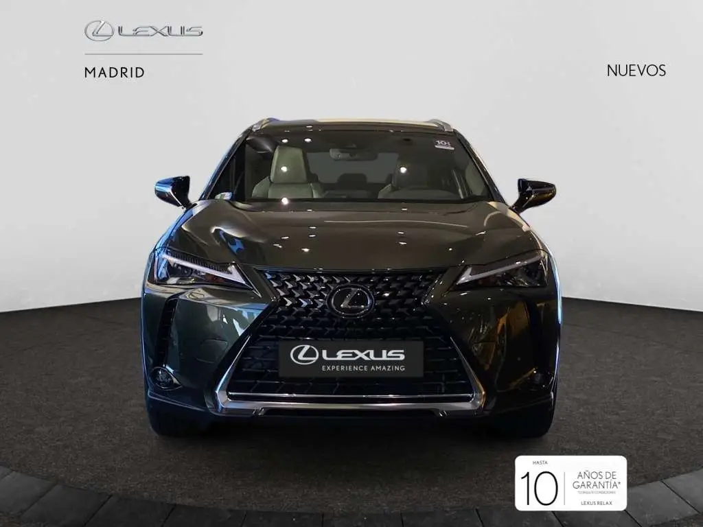 Photo 1 : Lexus Nx 2024 Hybrid