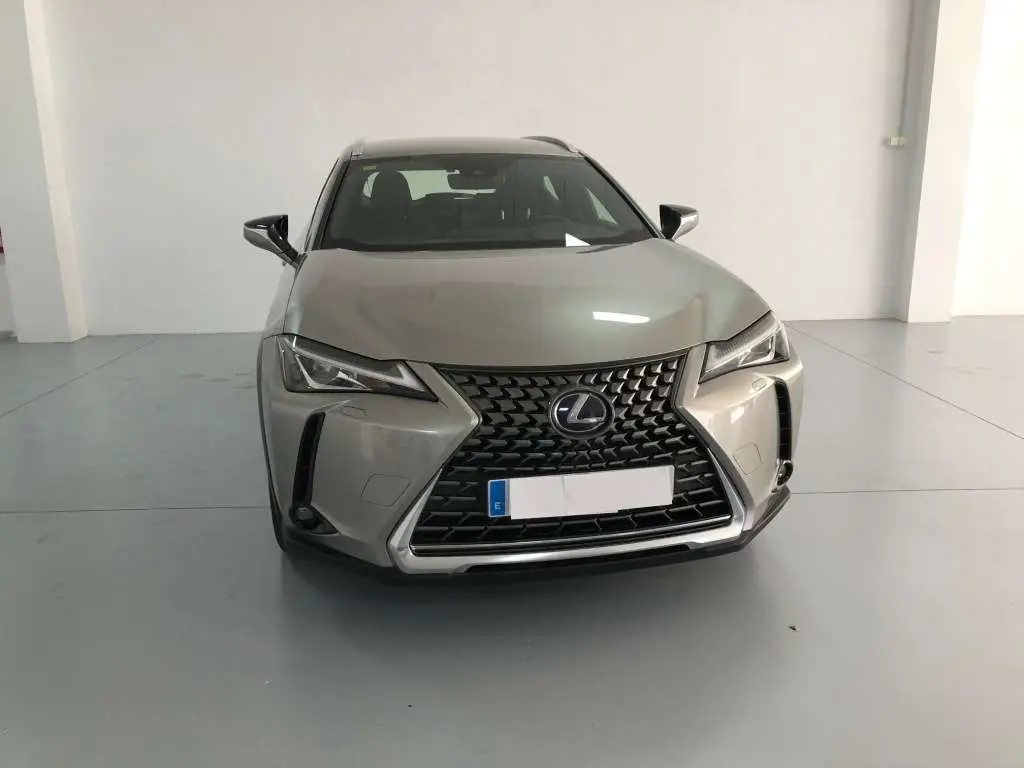 Photo 1 : Lexus Ux 2020 Électrique