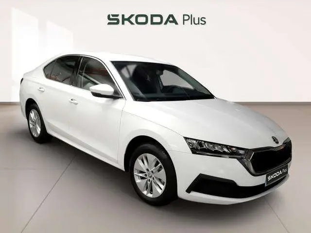 Photo 1 : Skoda Octavia 2024 Diesel