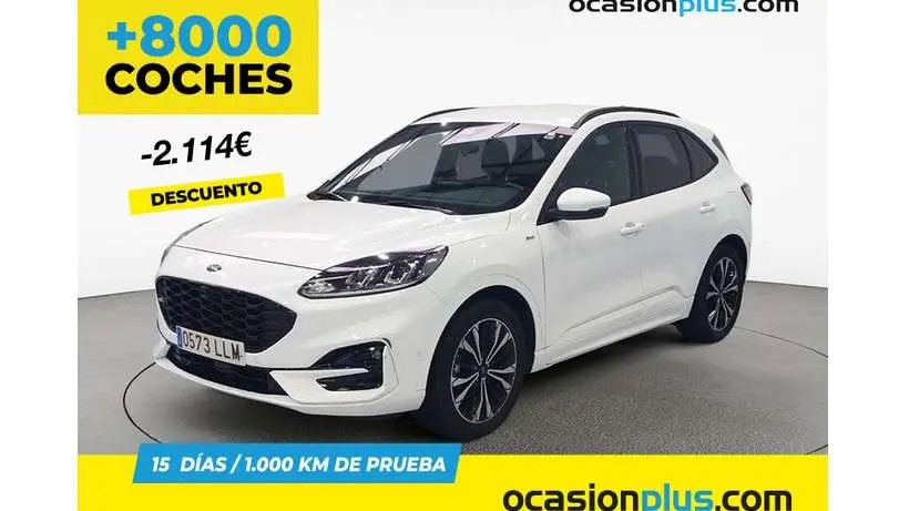 Photo 1 : Ford Kuga 2020 Diesel