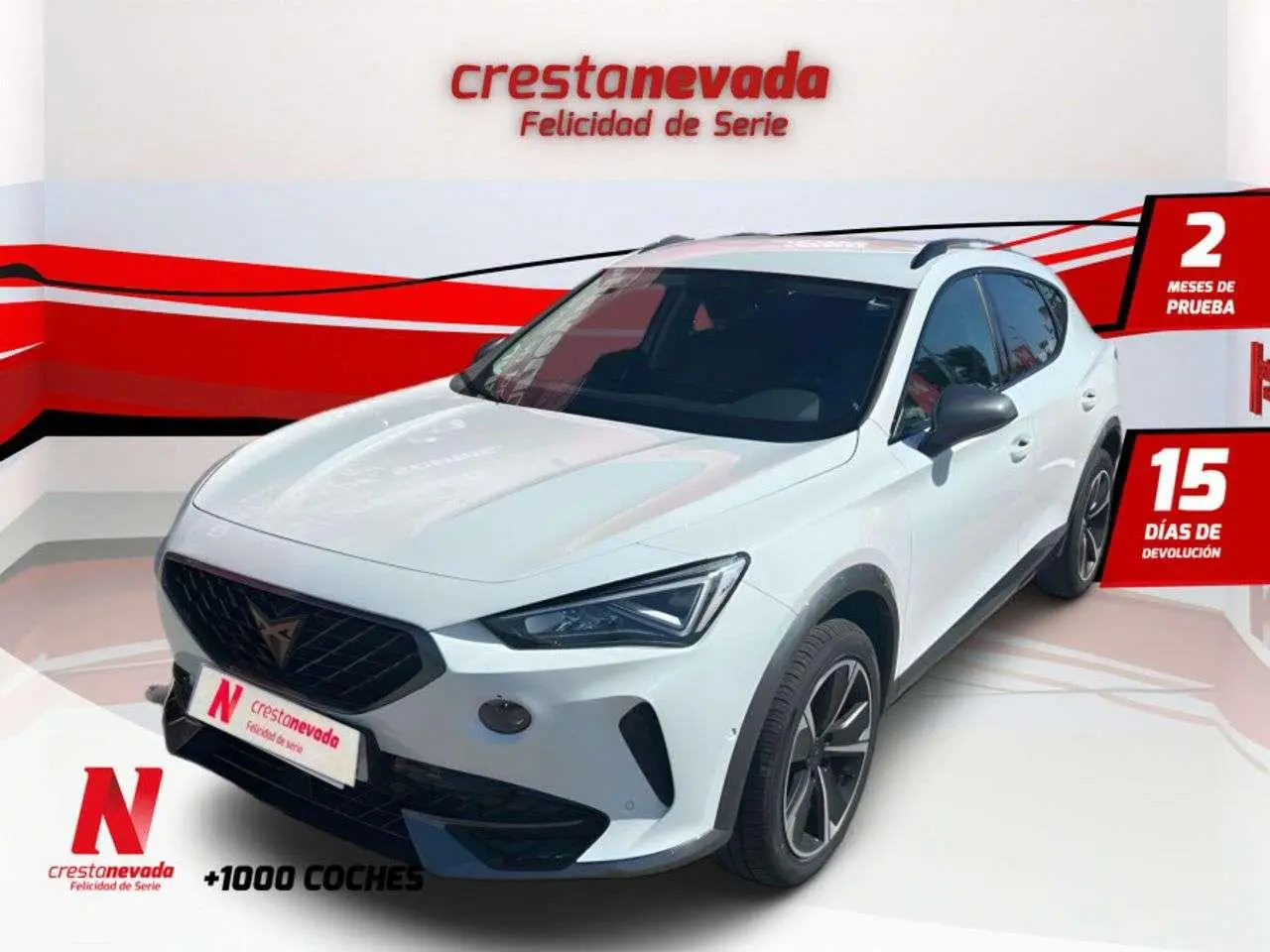 Photo 1 : Cupra Formentor 2022 Diesel