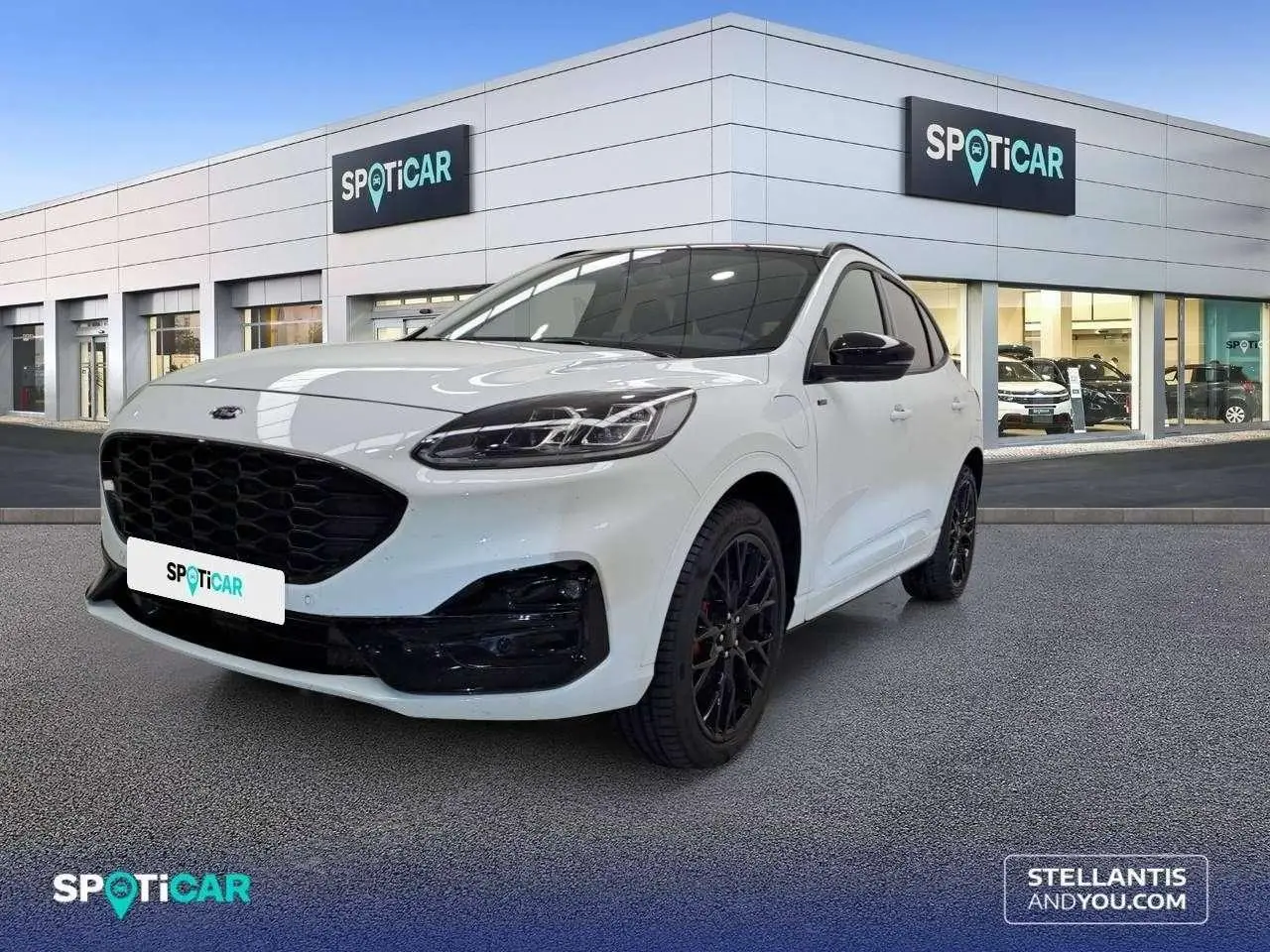 Photo 1 : Ford Kuga 2023 Hybride