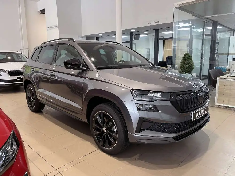 Photo 1 : Skoda Karoq 2024 Diesel