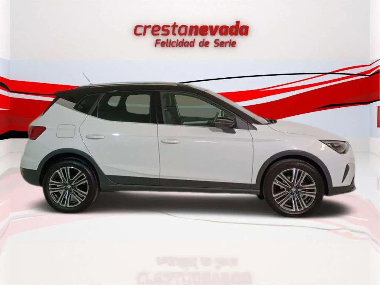 Photo 1 : Seat Arona 2023 Petrol