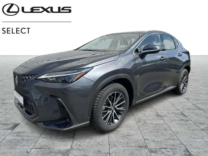 Photo 1 : Lexus Nx 2023 Hybrid