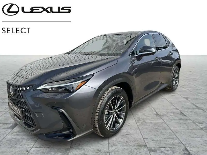 Photo 1 : Lexus Nx 2024 Hybrid