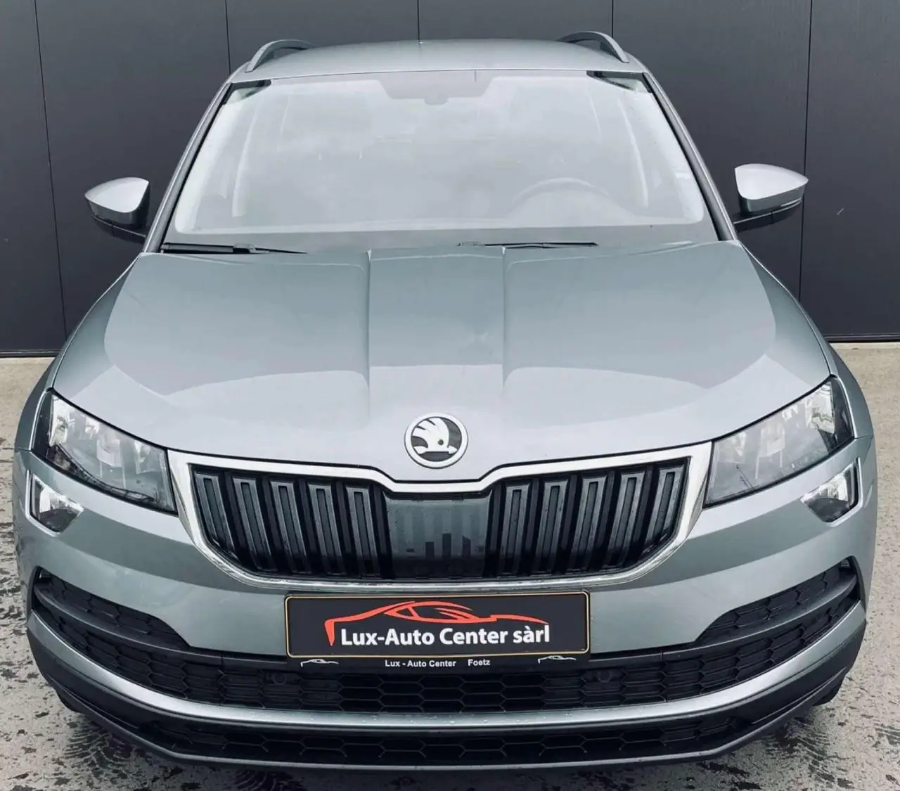 Photo 1 : Skoda Karoq 2019 Petrol