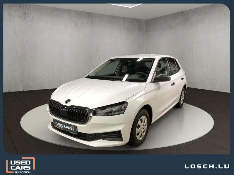 Photo 1 : Skoda Fabia 2024 Petrol