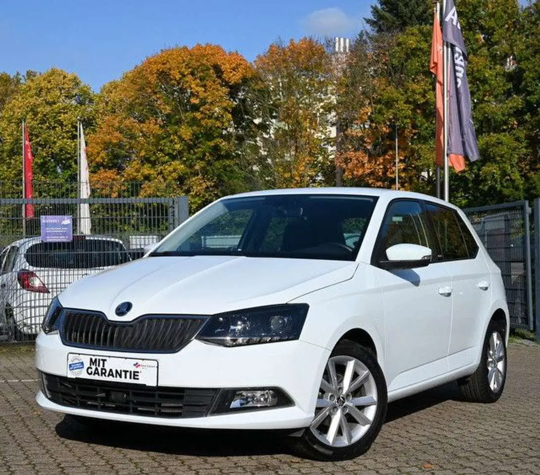 Photo 1 : Skoda Fabia 2016 Petrol