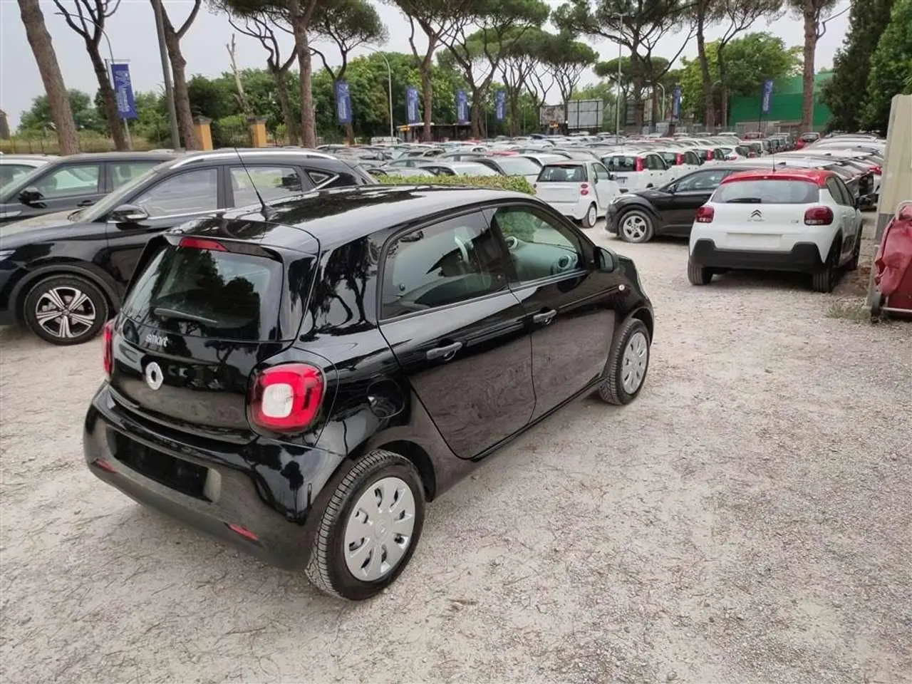 Photo 1 : Smart Forfour 2015 Petrol