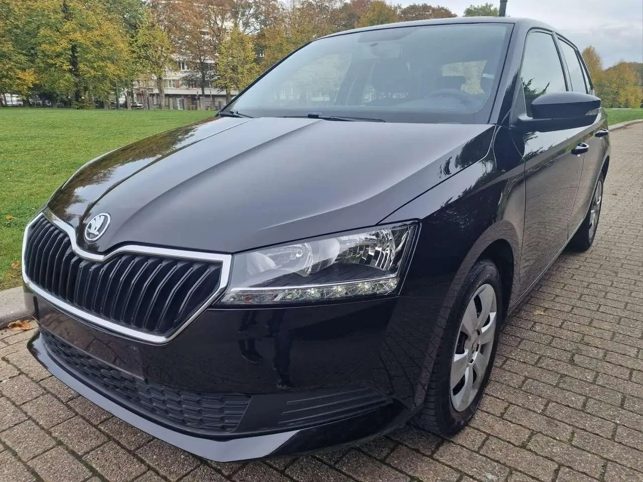 Photo 1 : Skoda Fabia 2019 Petrol