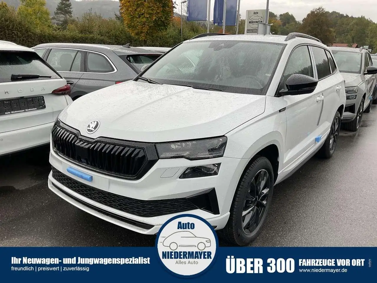 Photo 1 : Skoda Karoq 2024 Petrol