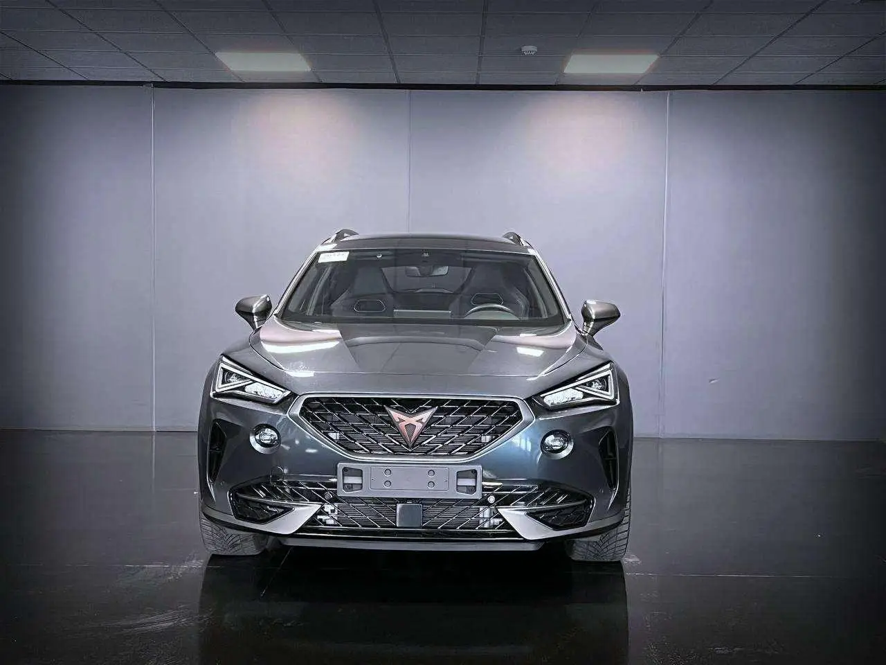 Photo 1 : Cupra Formentor 2022 Hybrid