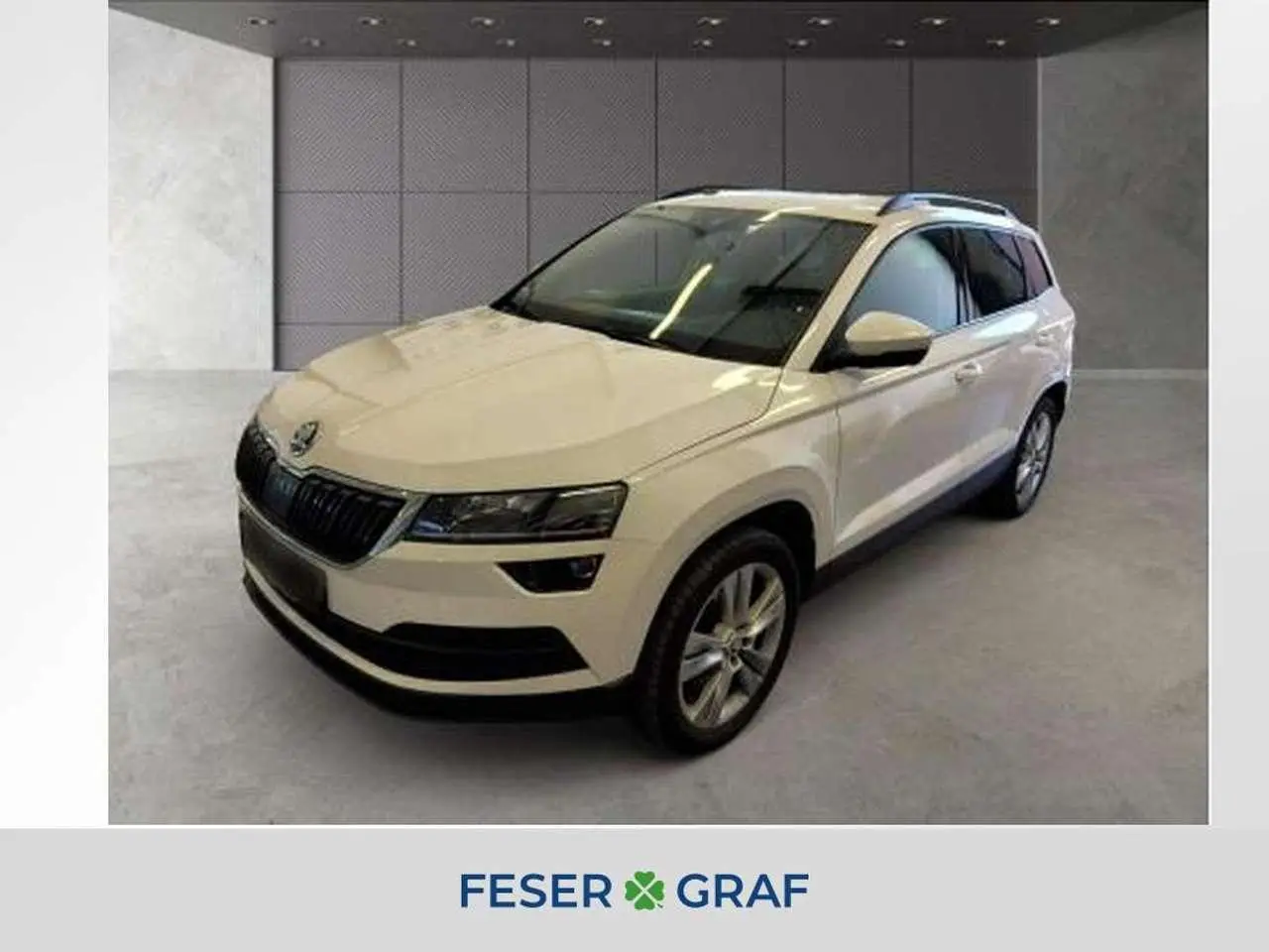 Photo 1 : Skoda Karoq 2019 Diesel