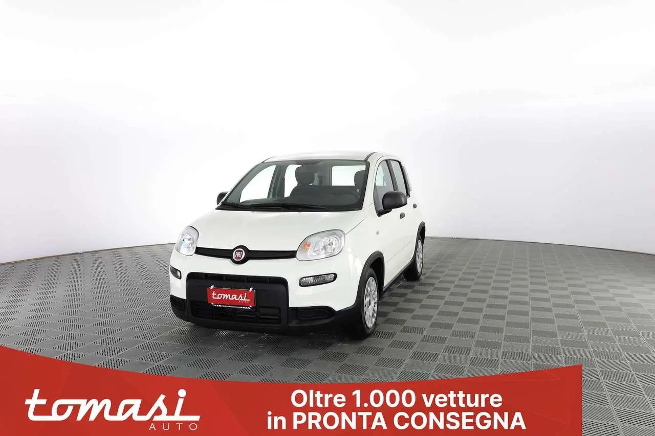 Photo 1 : Fiat Panda 2024 Hybrid