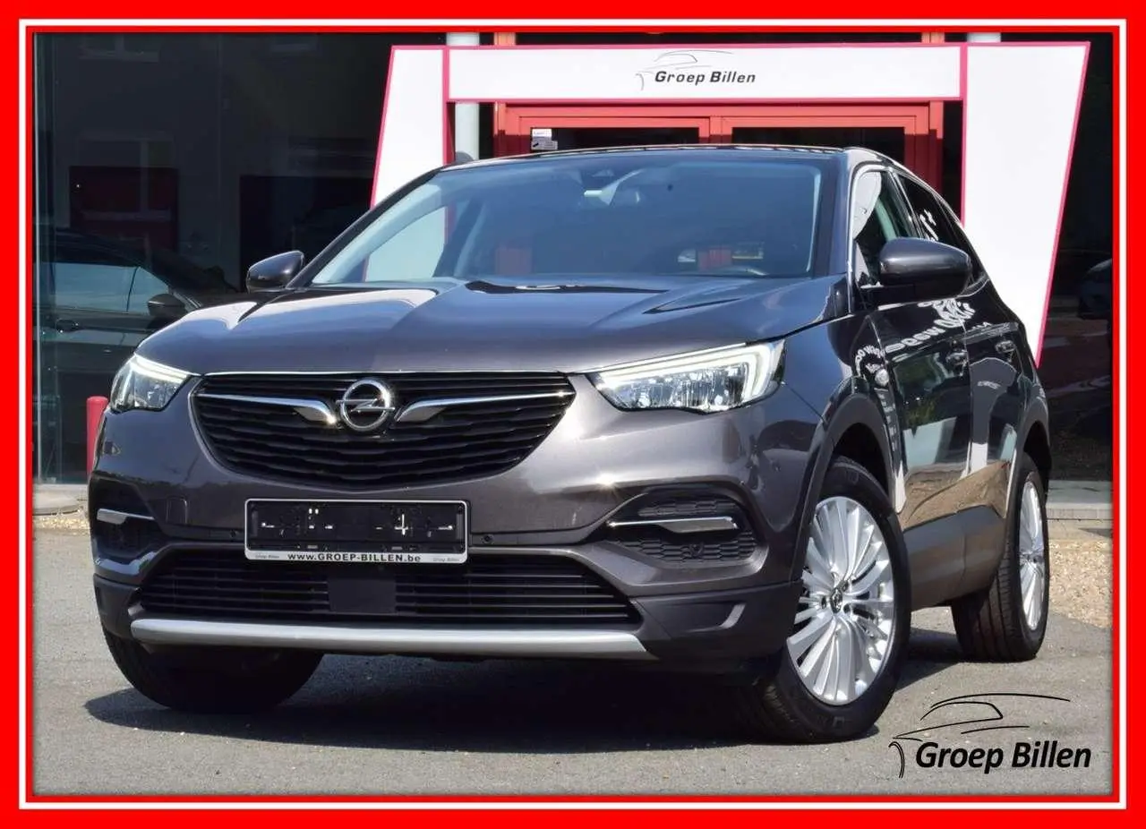 Photo 1 : Opel Grandland 2020 Petrol