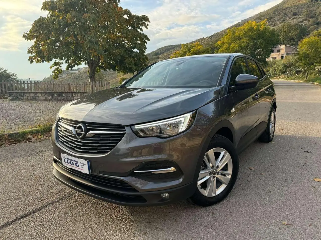 Photo 1 : Opel Grandland 2019 Diesel