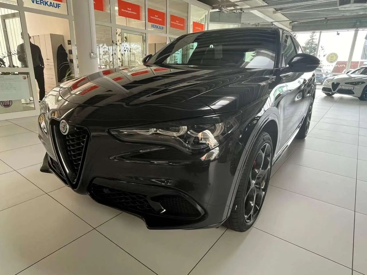 Photo 1 : Alfa Romeo Stelvio 2024 Petrol