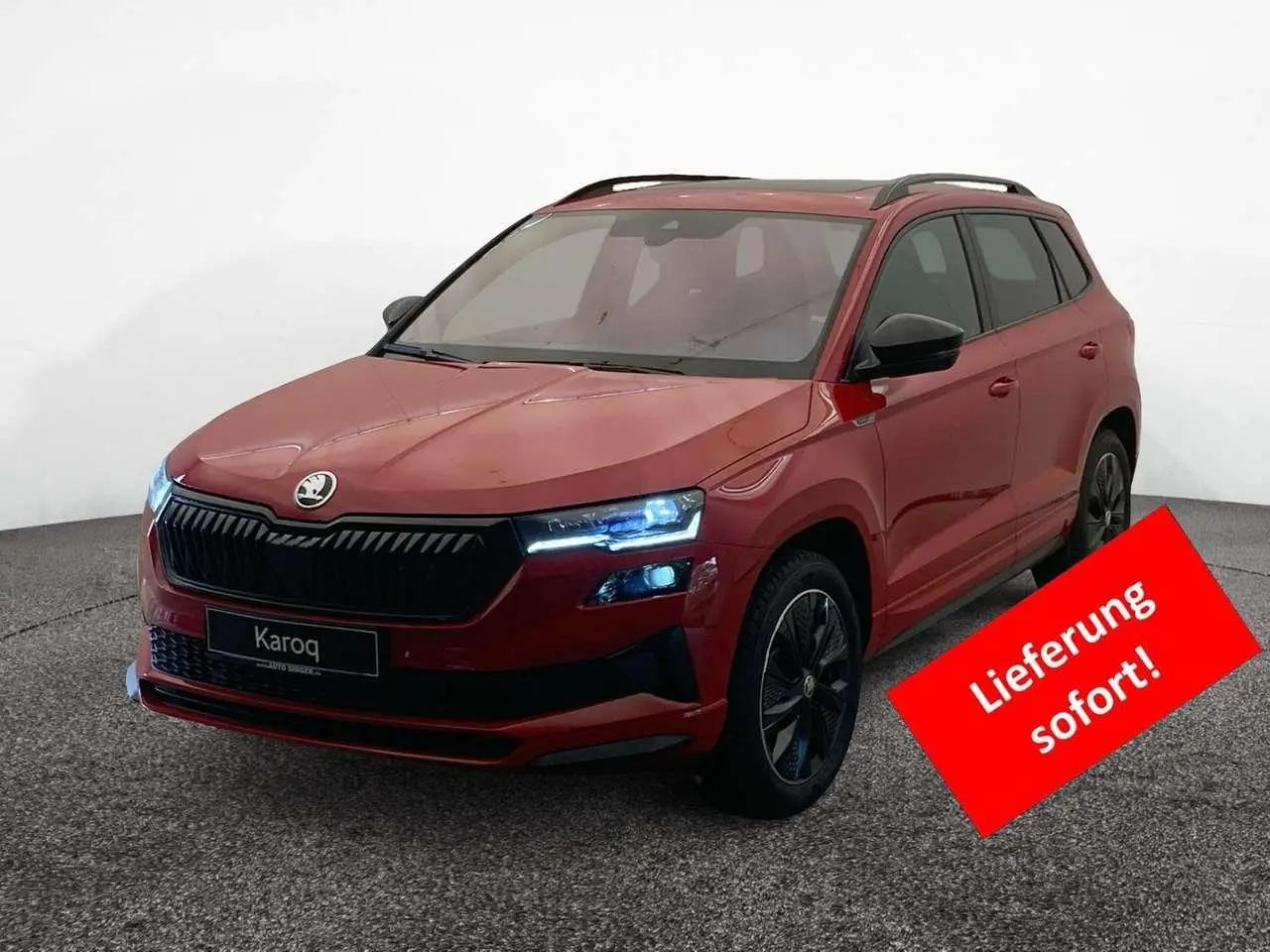 Photo 1 : Skoda Karoq 2024 Diesel