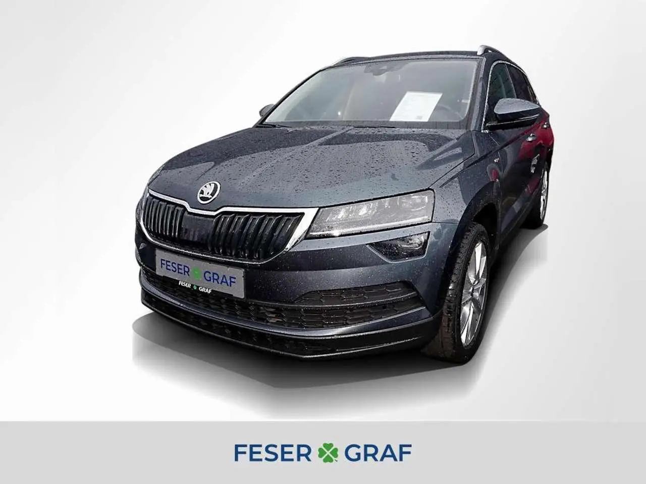 Photo 1 : Skoda Karoq 2019 Essence