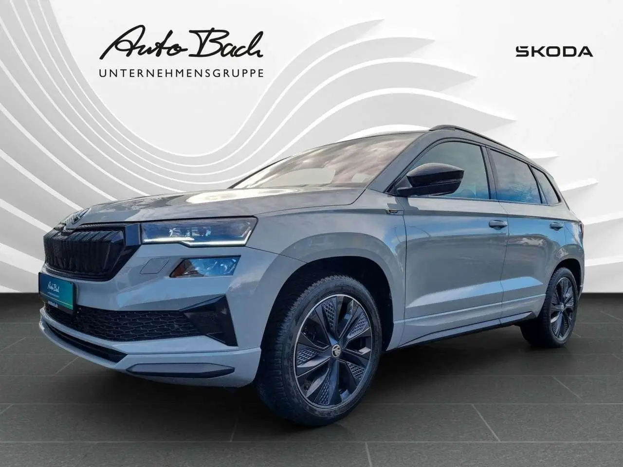 Photo 1 : Skoda Karoq 2024 Petrol