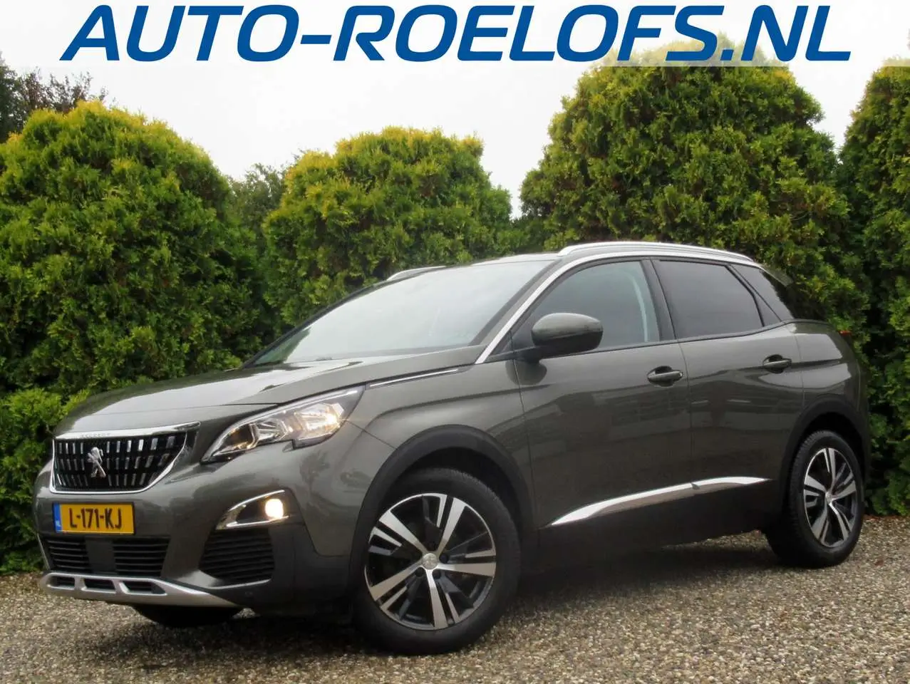 Photo 1 : Peugeot 3008 2017 Petrol