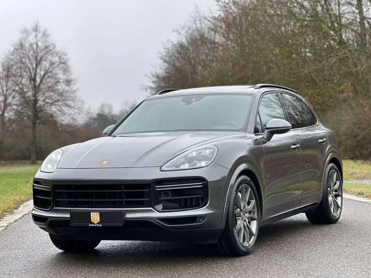 Photo 1 : Porsche Cayenne 2018 Petrol