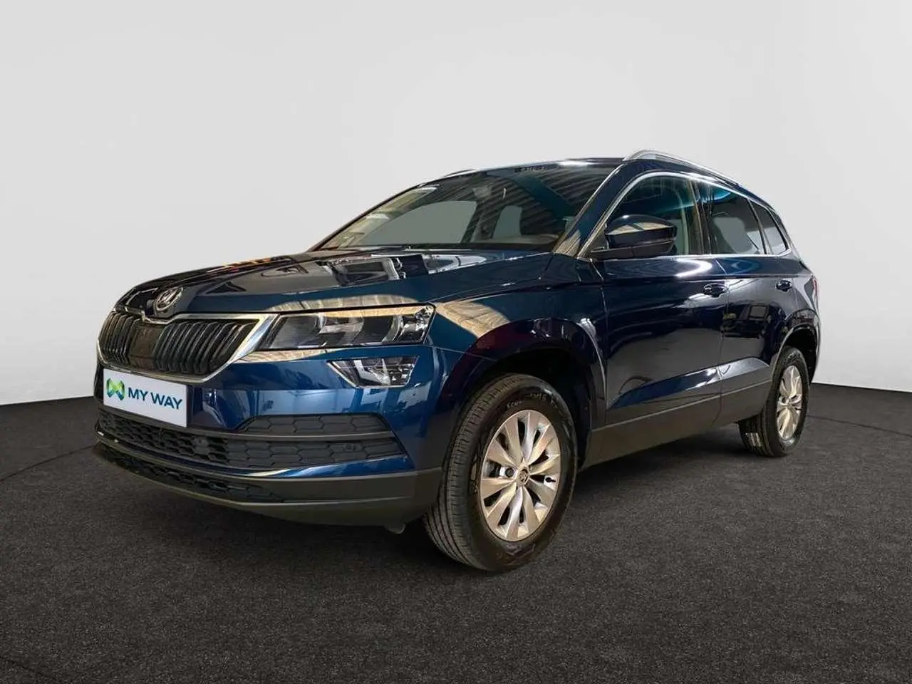 Photo 1 : Skoda Karoq 2019 Petrol