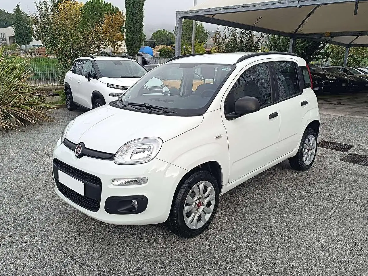 Photo 1 : Fiat Panda 2019 Autres