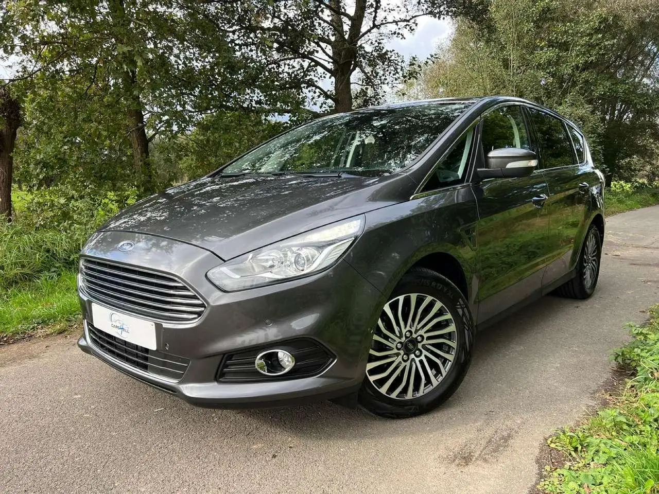 Photo 1 : Ford S-max 2019 Diesel