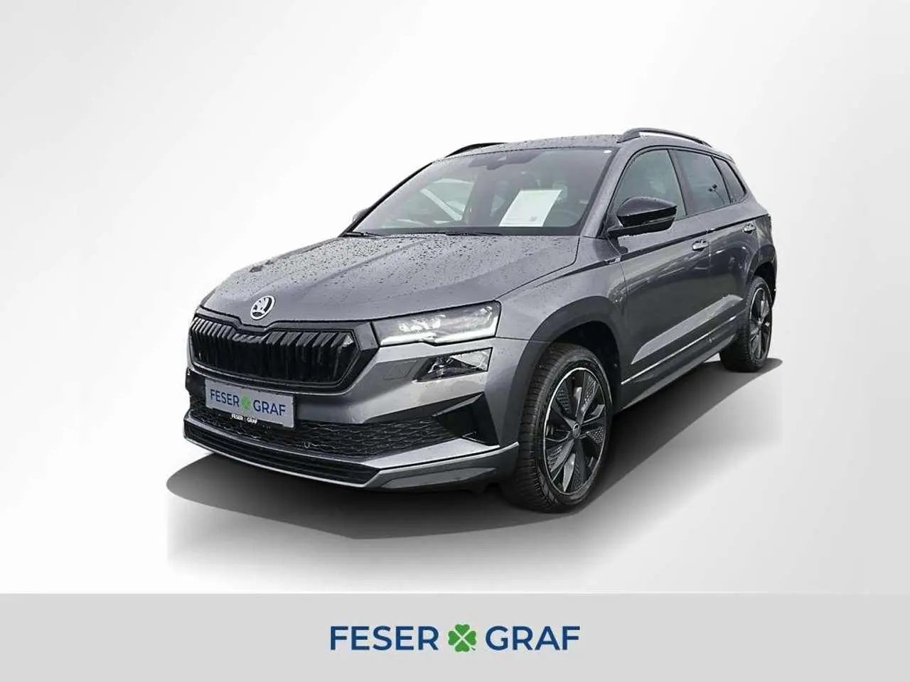 Photo 1 : Skoda Karoq 2024 Essence