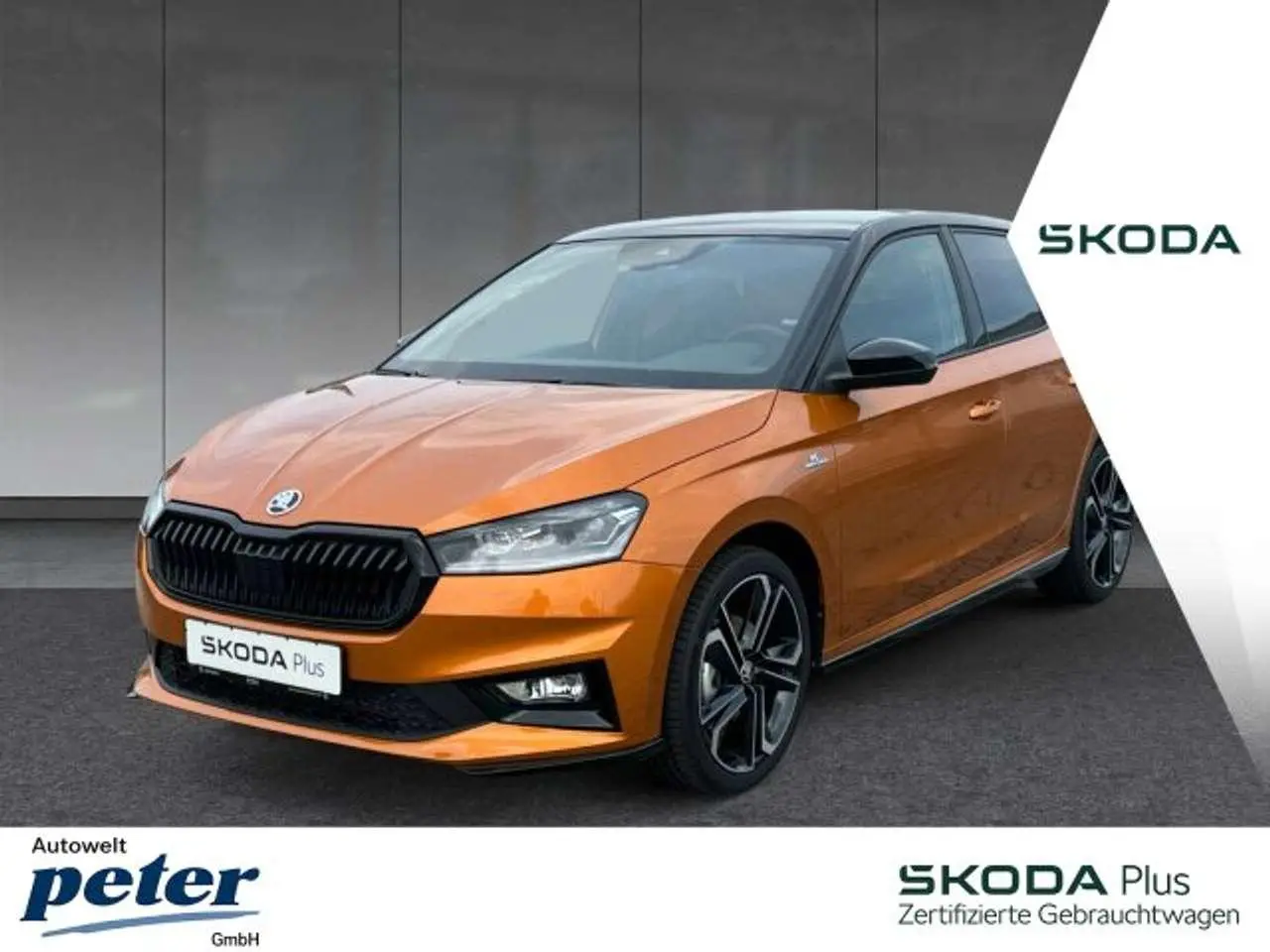 Photo 1 : Skoda Fabia 2024 Petrol