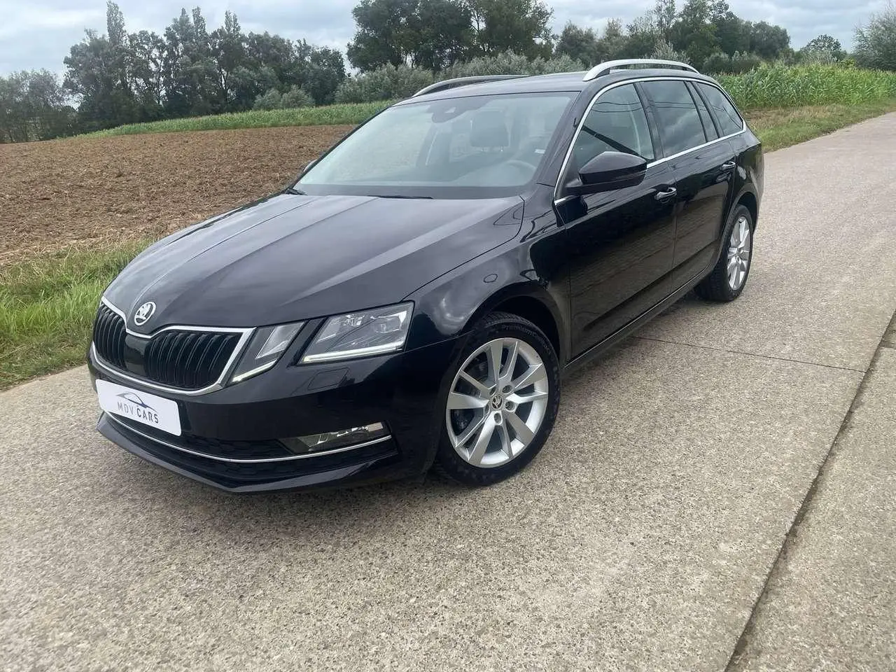 Photo 1 : Skoda Octavia 2019 Diesel