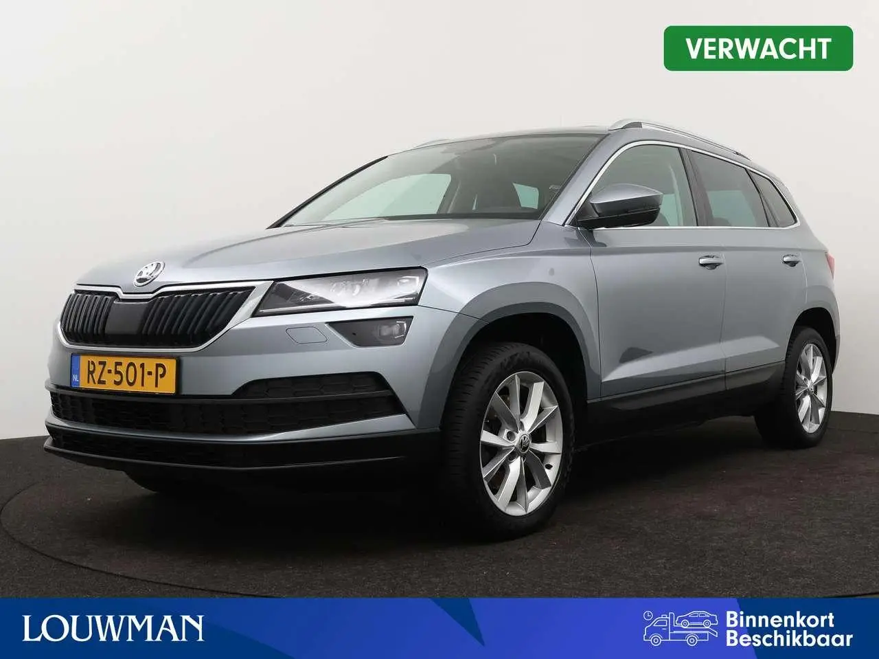 Photo 1 : Skoda Karoq 2018 Petrol