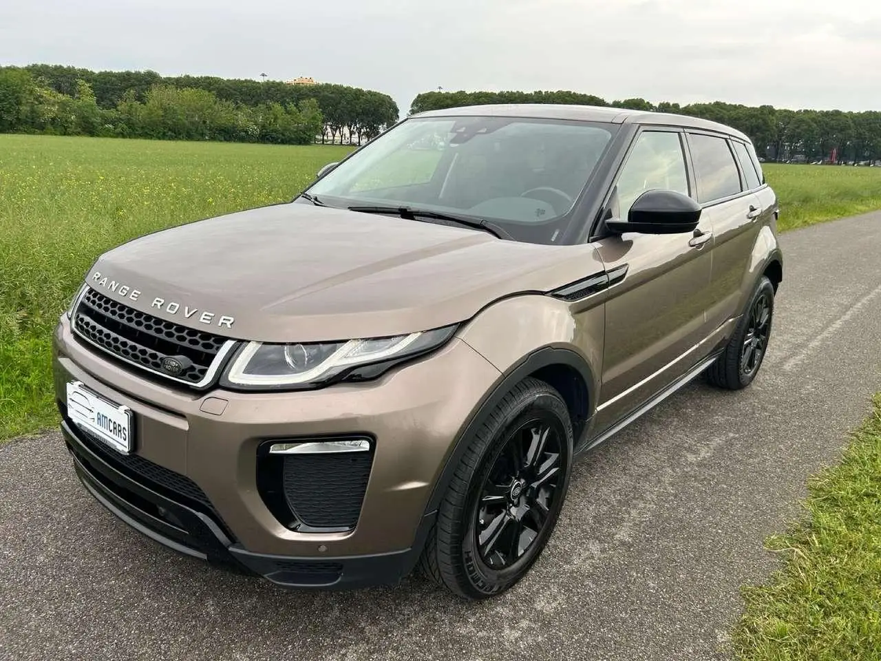 Photo 1 : Land Rover Range Rover Evoque 2017 Diesel