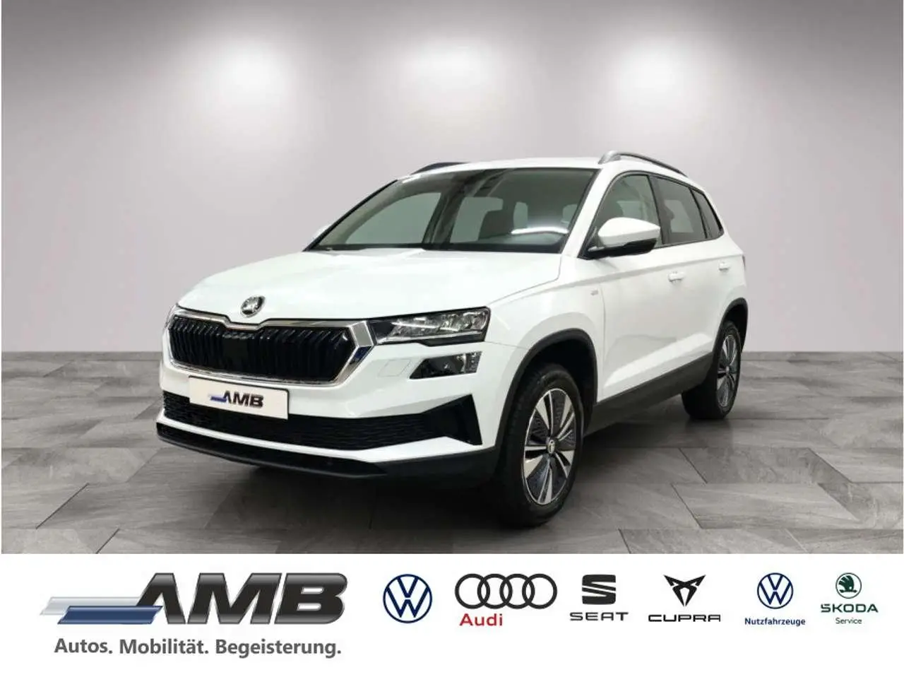 Photo 1 : Skoda Karoq 2023 Petrol