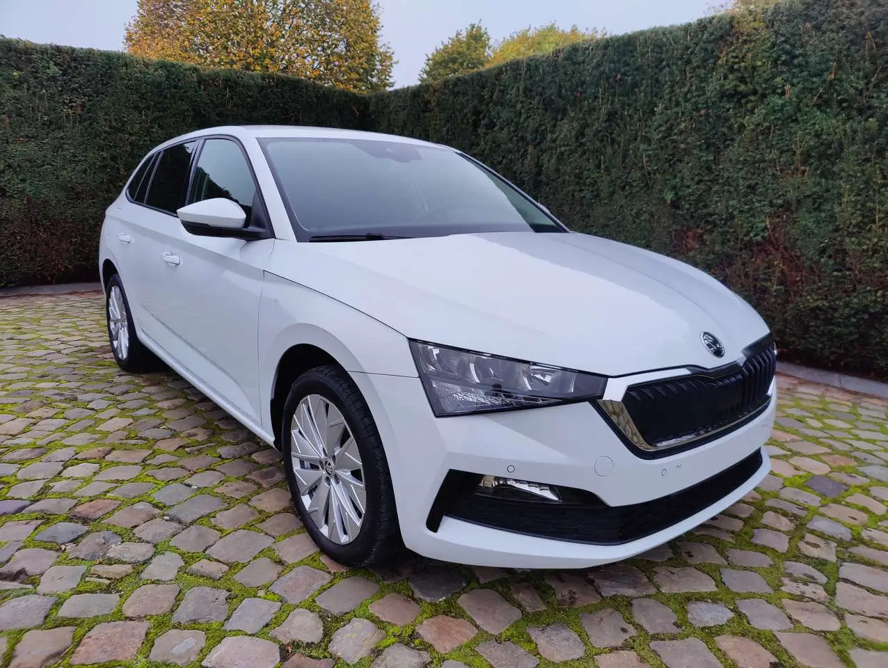 Photo 1 : Skoda Scala 2023 Petrol