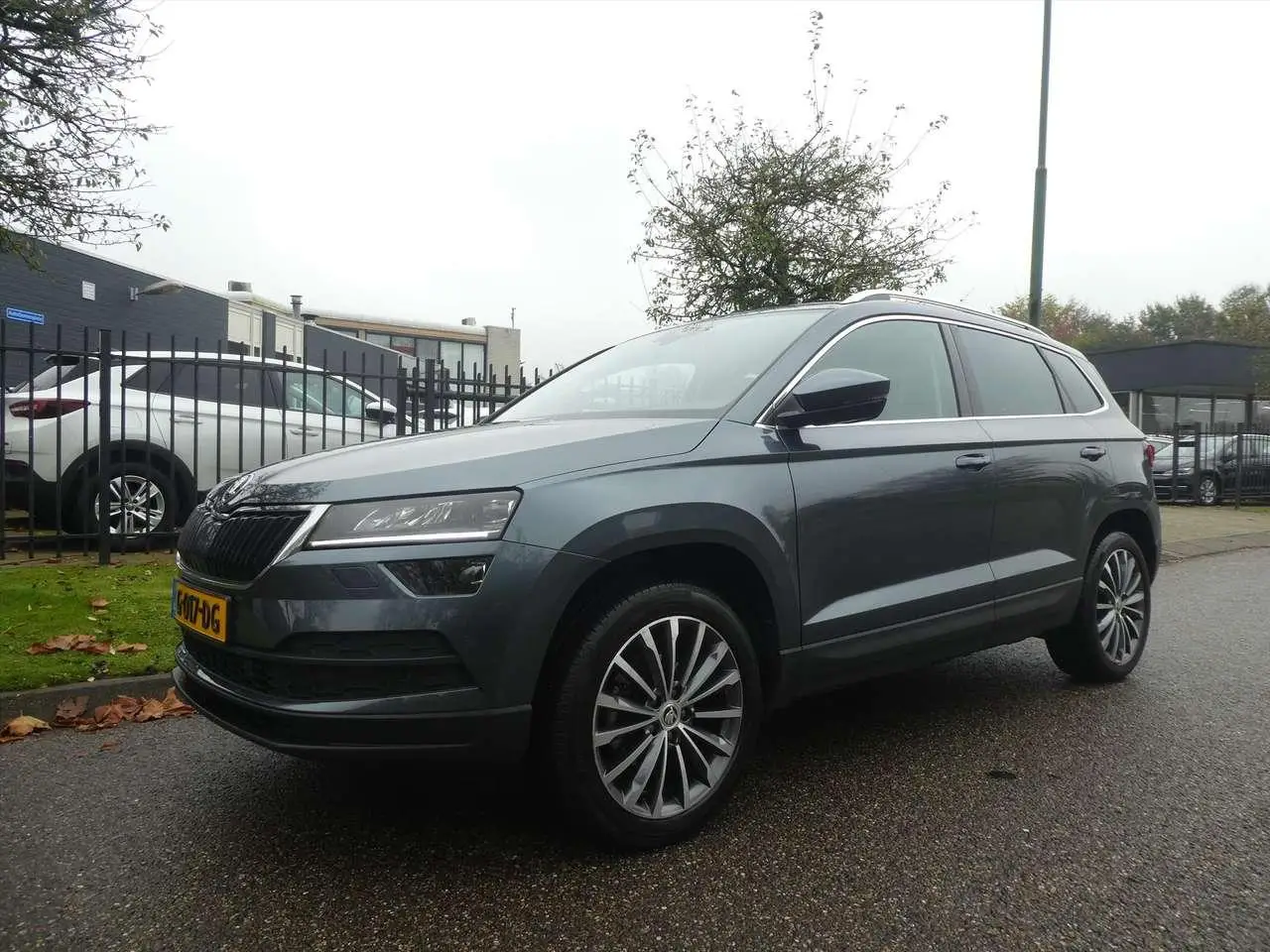 Photo 1 : Skoda Karoq 2019 Petrol