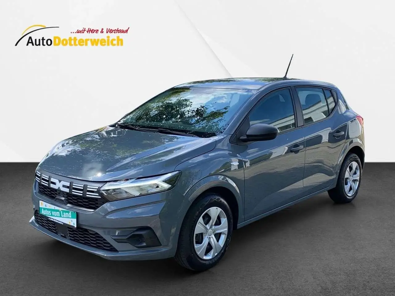 Photo 1 : Dacia Sandero 2024 Petrol