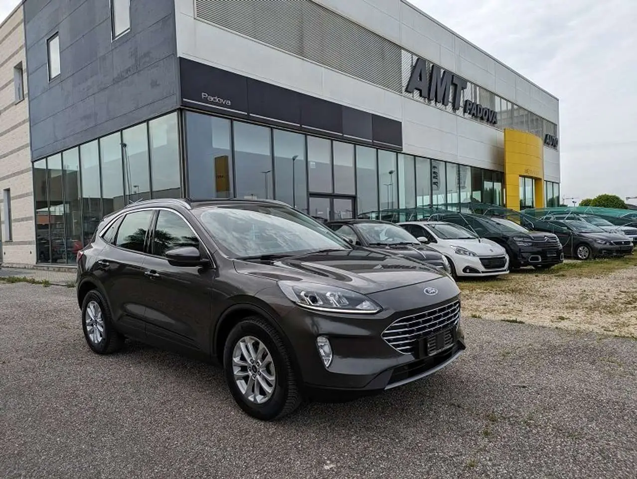 Photo 1 : Ford Kuga 2022 Diesel