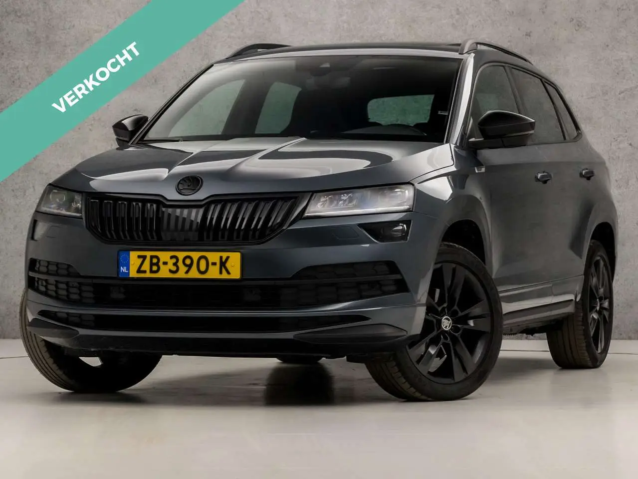 Photo 1 : Skoda Karoq 2019 Petrol