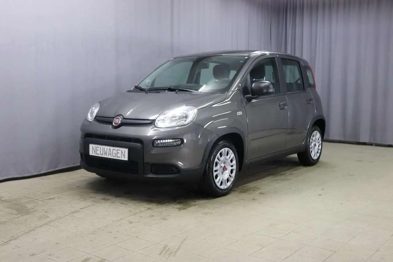 Photo 1 : Fiat Panda 2024 Petrol