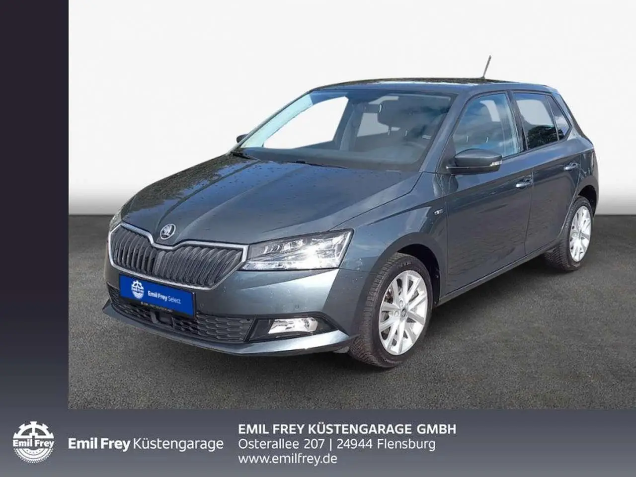 Photo 1 : Skoda Fabia 2019 Petrol