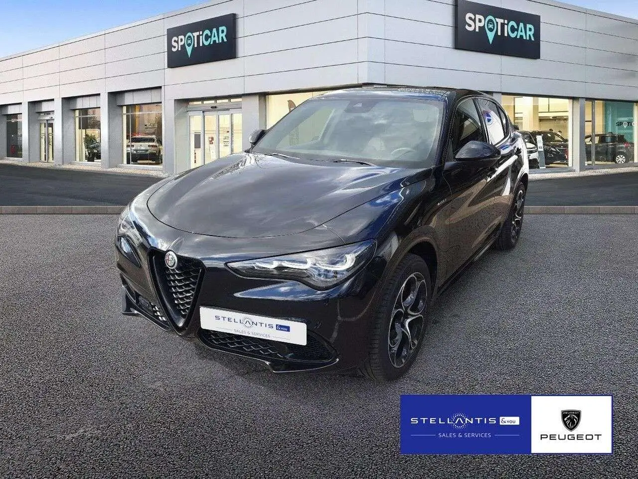 Photo 1 : Alfa Romeo Stelvio 2024 Petrol