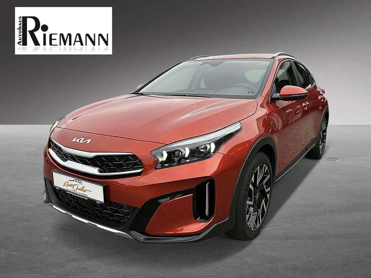 Photo 1 : Kia Xceed 2024 Essence