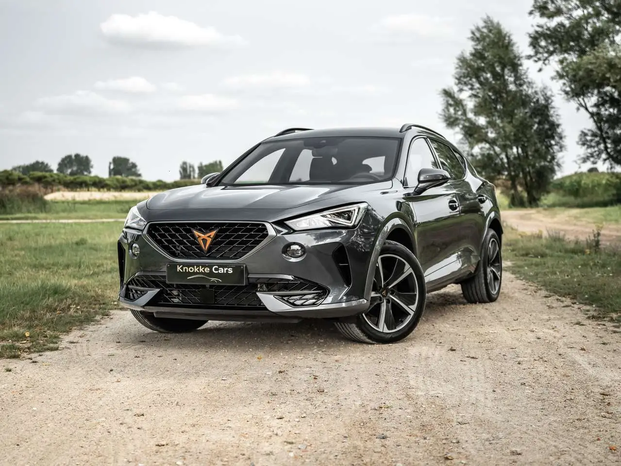 Photo 1 : Cupra Formentor 2022 Hybride