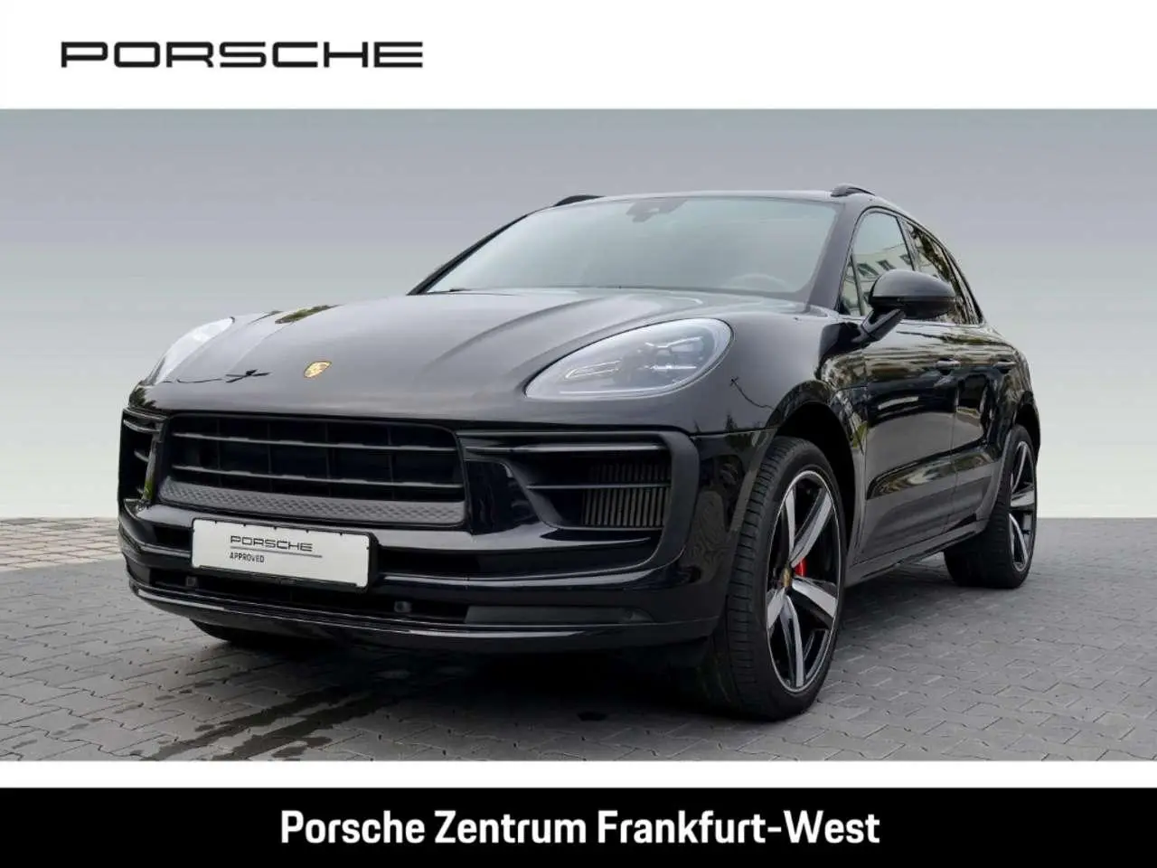 Photo 1 : Porsche Macan 2024 Petrol